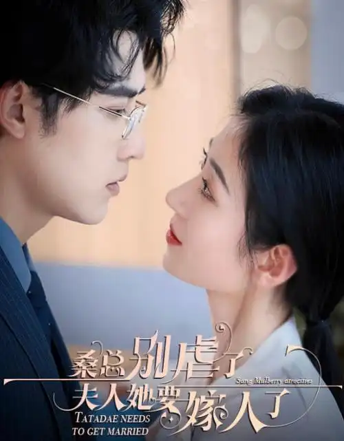 免费短剧 闪婚对象是甲方