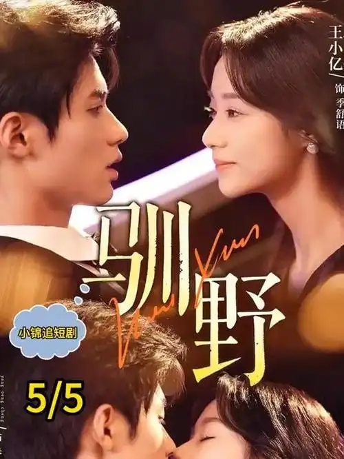 免费影视 城市夜行线 纪录片